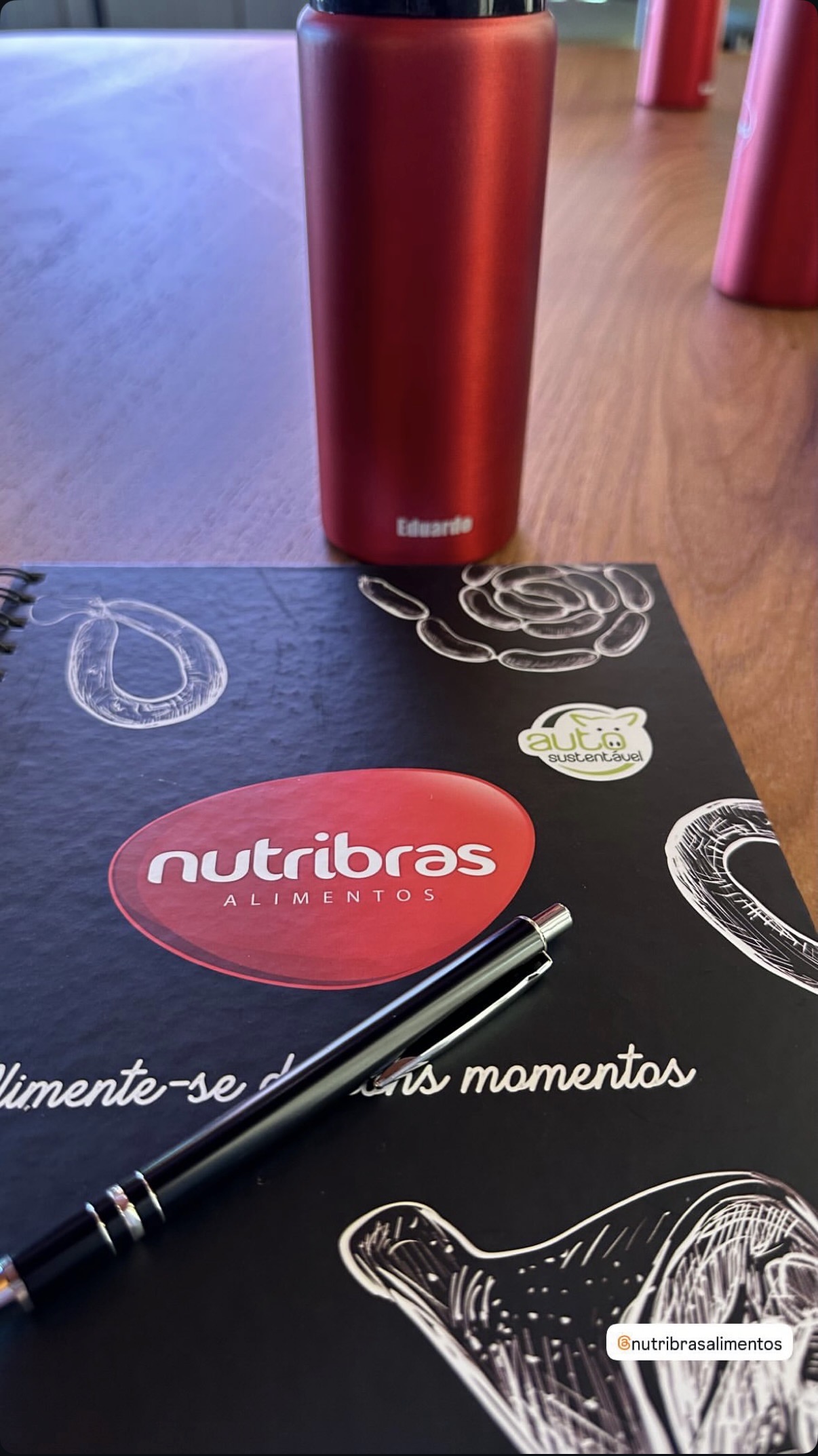 Janderson Santos palestrante na convenção de vendas da Nutribras em Sorriso